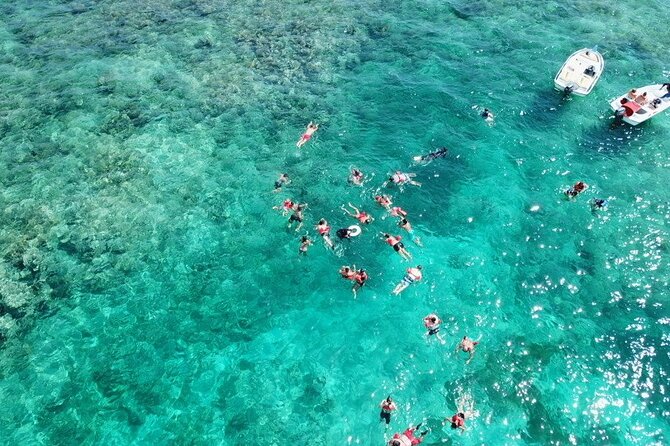 Float & Feast Private Party Cruise with Premium Buffet & Open Bar - Detailed Itinerary and Highlights