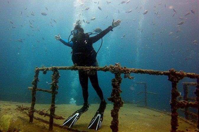 Bayahibe Diving - Exploring the Details: What to Expect from Bayahibe Diving