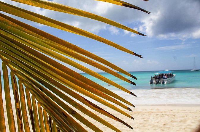 Speed Boat Ride to Punta Cana - Frequently Asked Questions