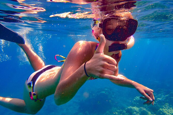 Dominican Republic: See Almost it ALL in 6 Days, 1st Class Custom Tours - FAQ