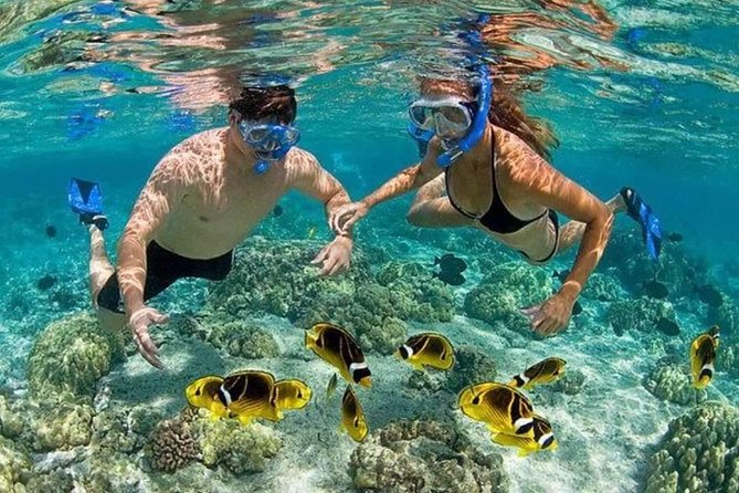 Private Party Boat with Snorkeling in Punta Cana (Half Day) - FAQ about the Private Party Boat with Snorkeling in Punta Cana