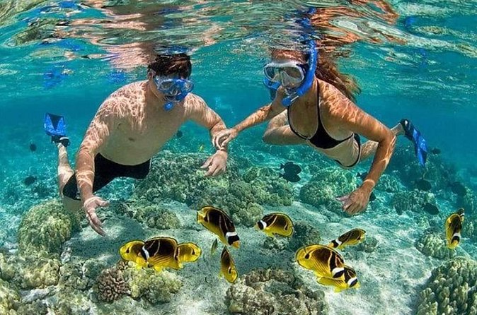 Private Party Boat with Snorkeling in Punta Cana (Half Day) - Who Will Love This Tour?