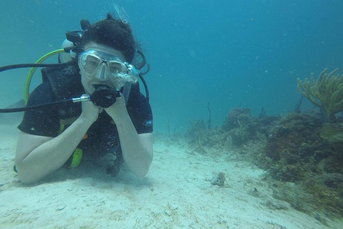 Catalina Island Scuba Diving - Amazing Full Day Tour! - An In-Depth Look at Catalina Islands Full-Day Tour