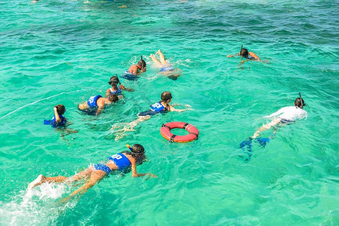 Private Snorkeling in Punta Cana - Analyzing the Value