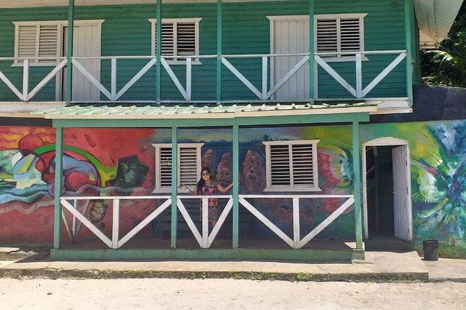 Punta Cana: Samaná, Lemon Falls and Bacardi Island - In-Depth Review of the Tour Experience