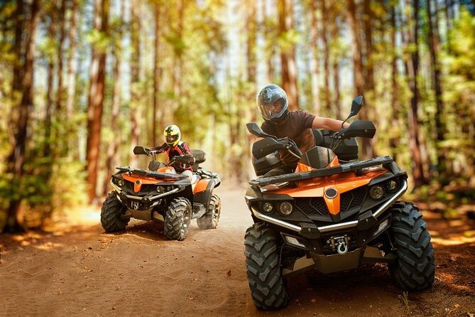 Punta Cana: Amazing ATV Adventure Private Road & Beach W/ PickUp - Why This Tour Represents Good Value