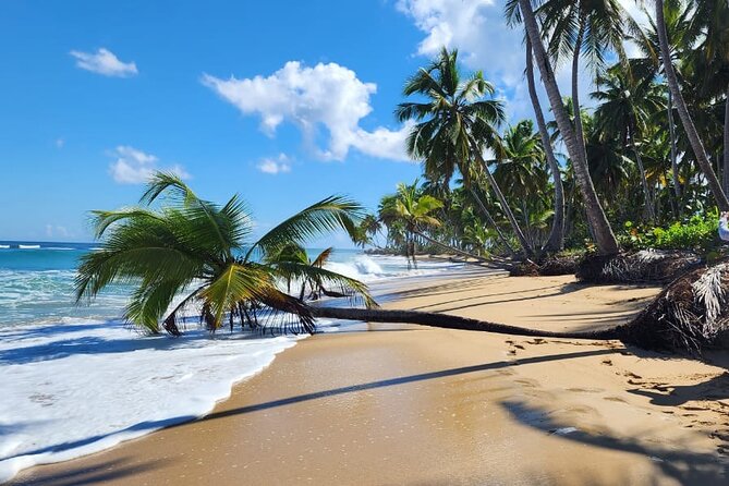 Punta Cana: Amazing ATV Adventure Private Road & Beach W/ PickUp - Authenticity and the Real Experience