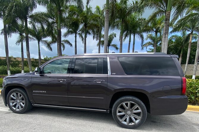 Vip transportation in Punta Cana BAVARO Roundtrip - What to Expect During Your Transfer