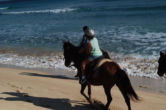 Punta Cana Horseback Riding on the Beach - Who Is This Tour Best For?