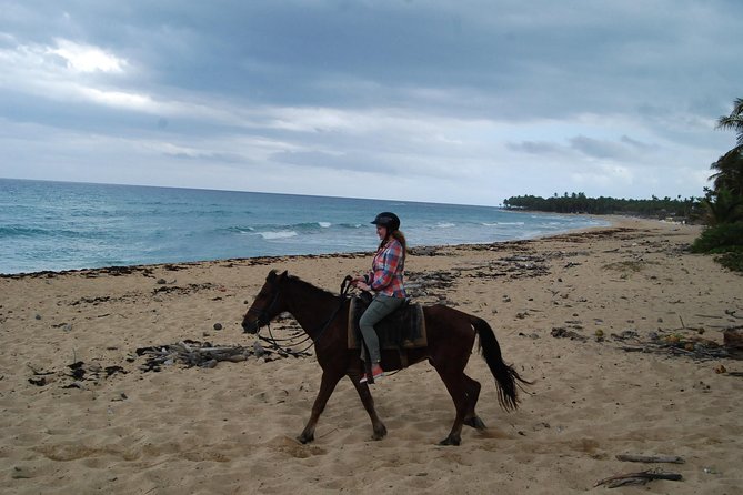 Punta Cana Horseback Riding on the Beach - Key Points