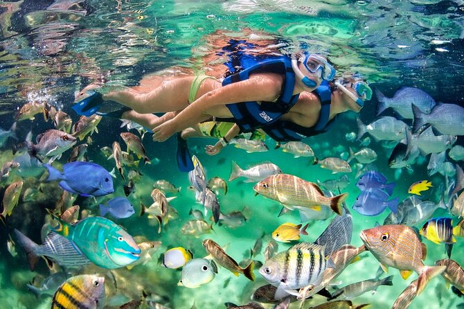 Hookah Diving, Snorkel, Parasail & Party - Bavaro Combo Adventure - Parasailing Over the Coast