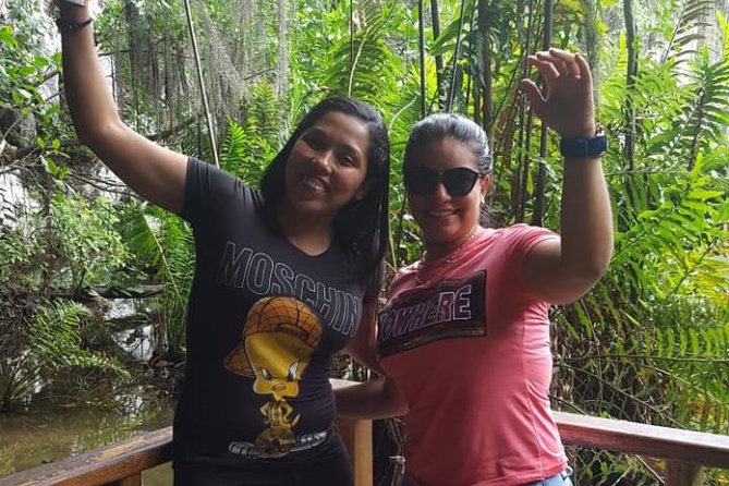 A Journey into the History and Culture of the Dominican Republic - Authentic Insights from Reviews