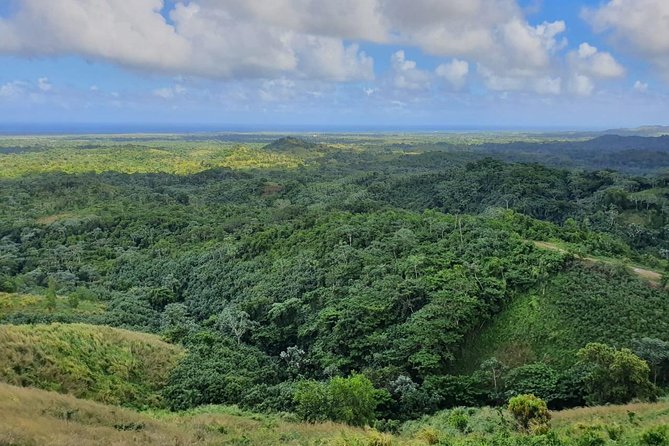 Half Day Dominican Safari for all Family - A Closer Look at the Tour Itinerary