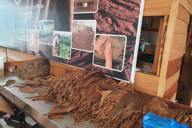 Half Day Dominican Safari for all Family - The Value in Experience