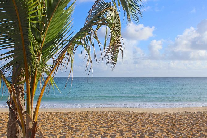 Safari Full Day VIP Experience - Final Thoughts