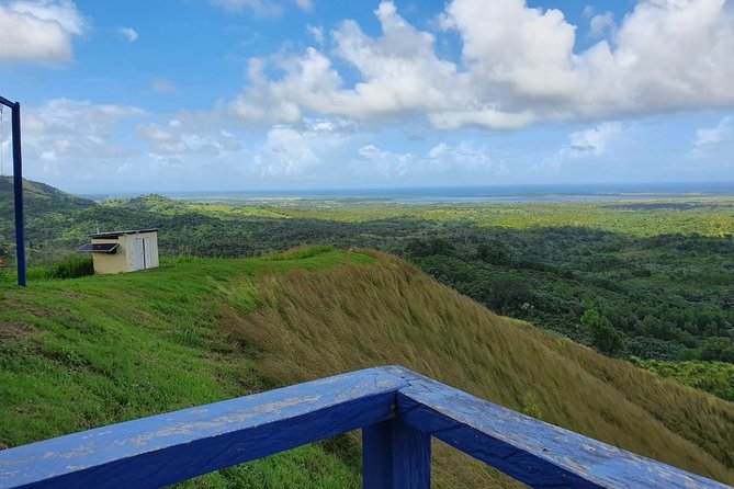 Safari Full Day VIP Experience - Key Points