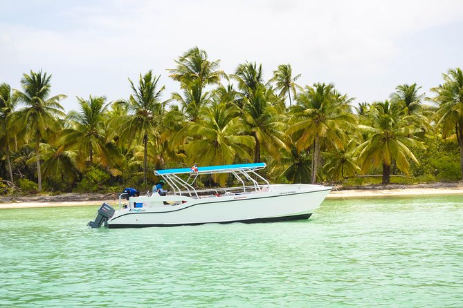 Saona Island Day Trip - An In-Depth Look at the Saona Island Day Trip