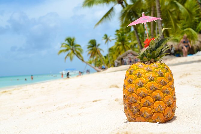 Saona Island Day Trip - The Sum Up: Is It Worth It?