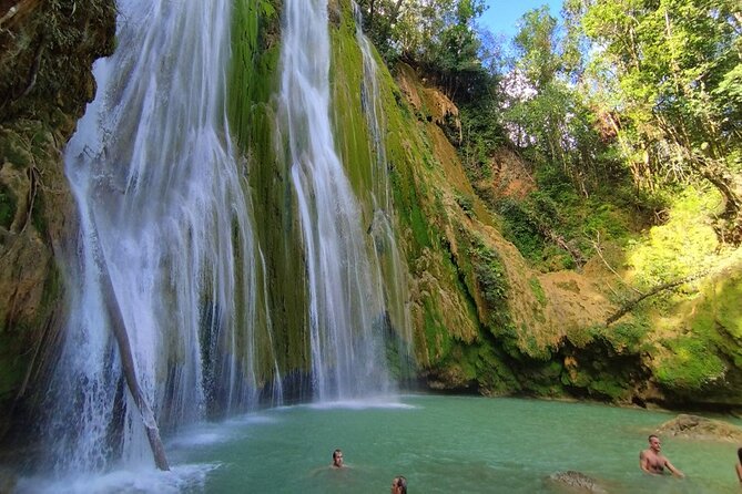 Full Day Humpback Whale Watching Tour in Samana from Uvero Alto - Wrapping Up