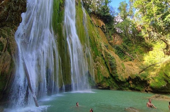 Full Day Humpback Whale Watching Tour in Samana from Uvero Alto - Who Would Enjoy This Tour?