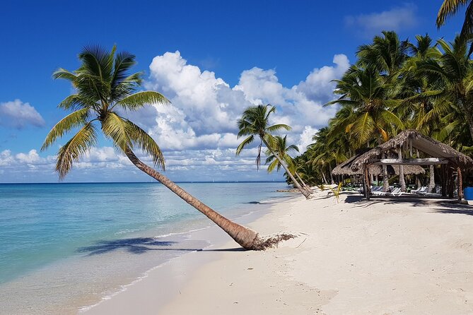 Saona Party Boat and Natural Pool from Cap Cana with Lobster - Exploring the Itinerary: What to Expect