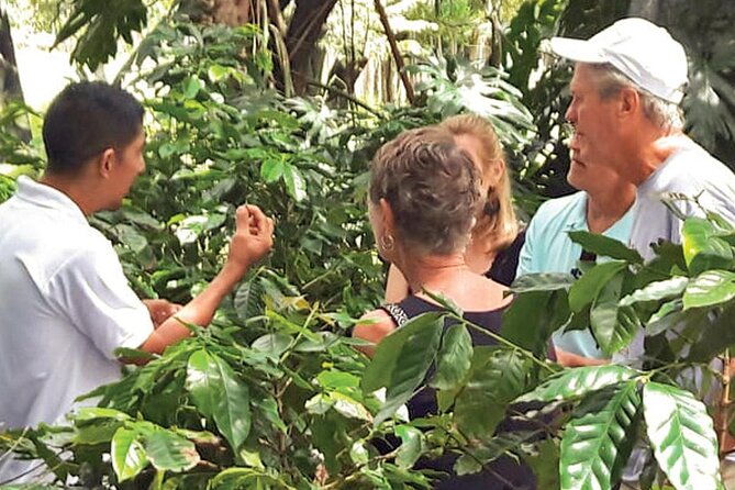 Half-Day Cultural Safari Tour from Punta Cana - FAQ