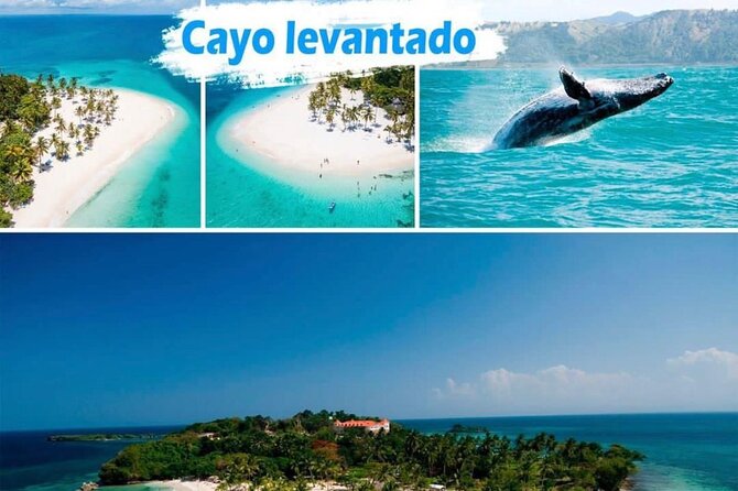 Samana Full Day -baracardi island, horses, lemon waterfall - Experience the Charm of Samana with a Full-Day Adventure