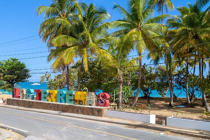 Private Shuttle from Punta Cana to Las Terrenas or Viceversa - Key Points