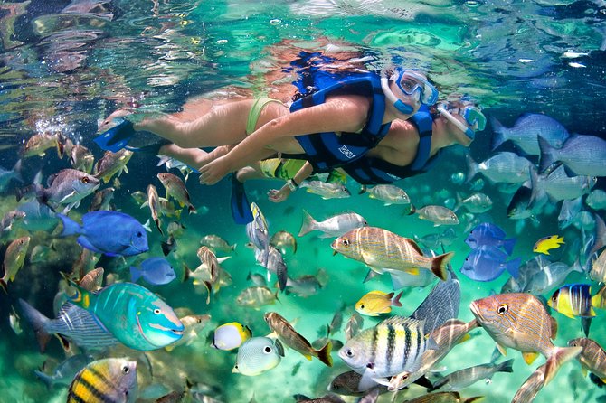 Private Catamaran Snorkeling Family Adventure - Who Is This Tour Perfect For?