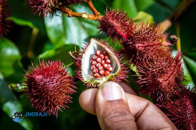 Safari tour with Jhoraji : mountain rivers and local market - Frequently Asked Questions