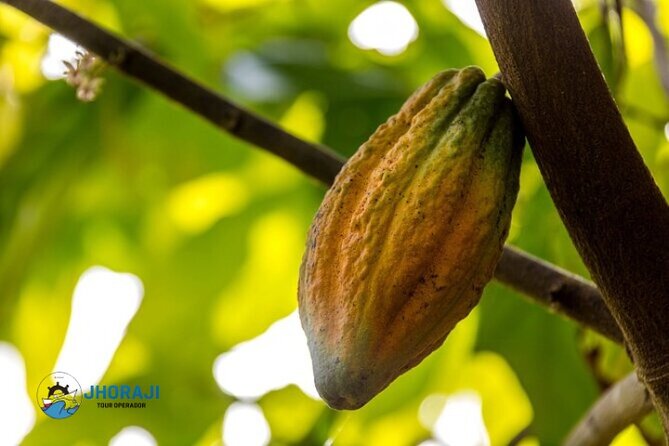 Safari tour with Jhoraji : mountain rivers and local market - Final Thoughts