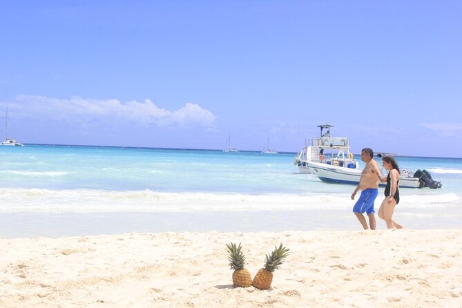 Saona Island Private Boat Tour with Lunch and Beverages - Who This Tour Suits Best