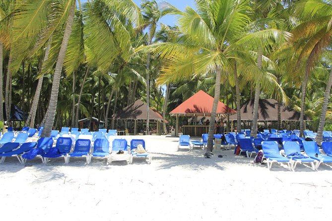 Saona Island Excursion From Punta Cana - Who Should Consider This Tour?