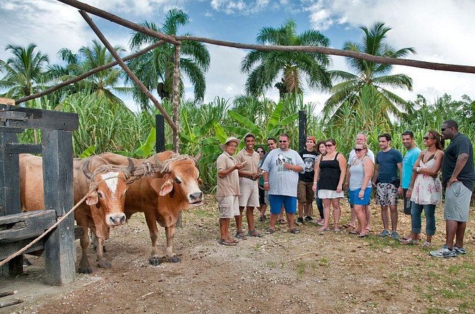 Bayahibe La Romana Discovery Full Day Tour - Key Points