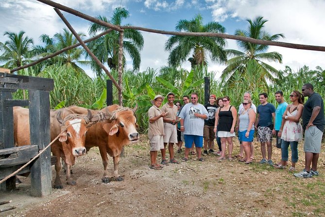Bayahibe La Romana Discovery Full Day Tour - Introduction: A Full Day of Culture and Adventure in Dominican Republic