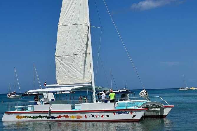 Saona Island VIP Experience  Private Boat for Up to 20 People - Who Should Consider This Tour?