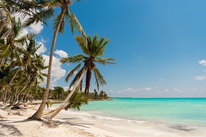 Saona full day with Food and drinks - Key Points