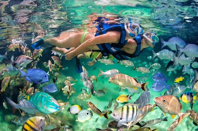 Party Boat - Booze Cruise Punta Cana - A detailed look at what you can expect from the Punta Cana party catamaran cruise