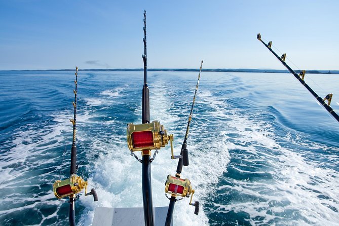 Offshore Fishing - Half Day (Trolling) - A Practical Look at Offshore Fishing - Half Day (Trolling) in Punta Cana