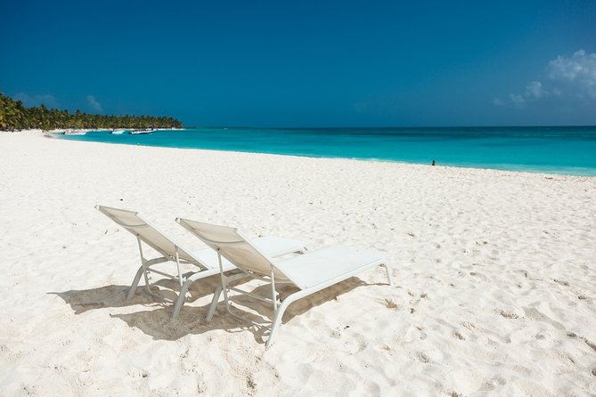 Saona Private Full-Day Tour from Punta Cana - Key Points