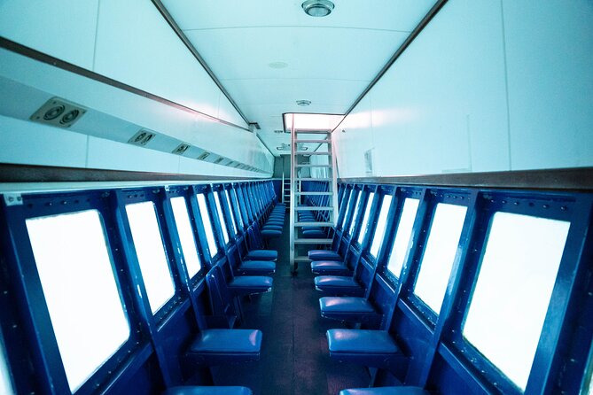 Saona Island at Yellow Submarine Exclusive Tour from Punta Cana - Who This Tour Is Perfect For