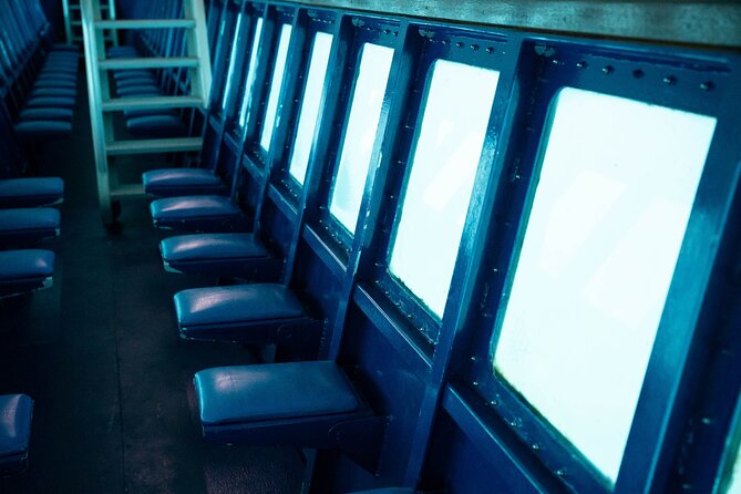 Saona Island at Yellow Submarine Exclusive Tour from Punta Cana - An In-Depth Look at the Tour