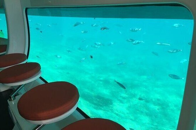 Saona Island at Yellow Submarine Exclusive Tour from Punta Cana - The Sum Up