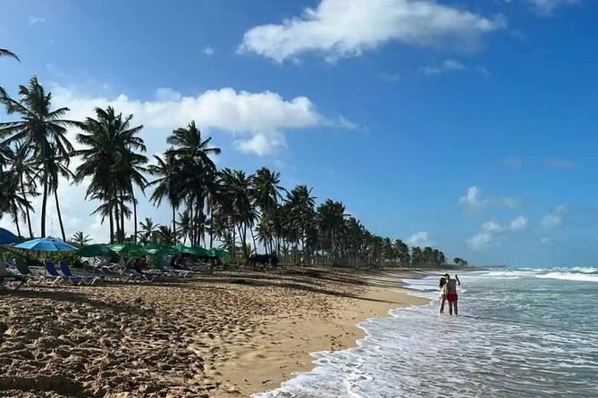 Full Day City Tour of Punta Cana - Key Points