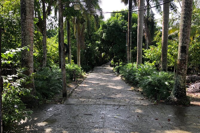 Discover Dominican life - The Sum Up: Is This Tour Worth It?