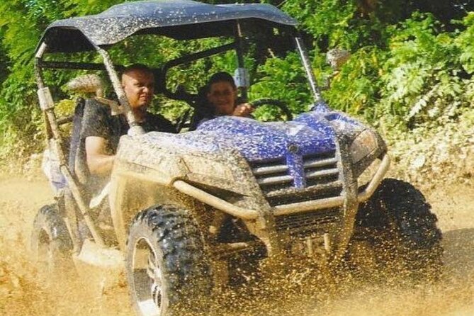 Guided Tour in Polaris (4X4) by Macao Beach, Taino Cave and Typical House - Key Points