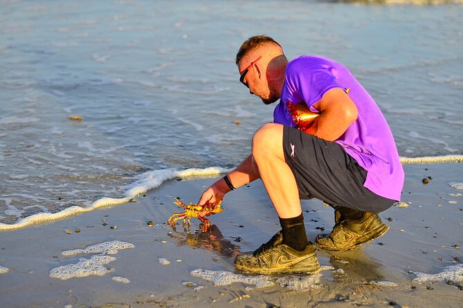Beach Sunset on Horse Riding in Punta Cana(Private Option) - FAQ