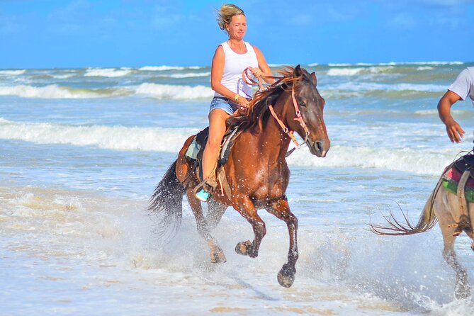 Beach Sunset on Horse Riding in Punta Cana(Private Option) - Experience a Sunset Horseback Ride in Punta Cana