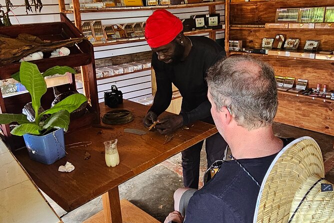 Buggy, horse and plantation ranch - Exploring the Itinerary in Detail