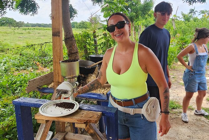 Buggy, horse and plantation ranch - Key Points